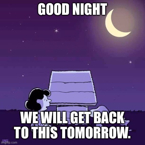 Good night. | GOOD NIGHT; WE WILL GET BACK TO THIS TOMORROW. | image tagged in good night | made w/ Imgflip meme maker