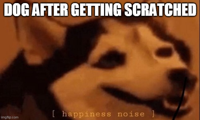 [happiness noise] | DOG AFTER GETTING SCRATCHED | image tagged in happiness noise | made w/ Imgflip meme maker