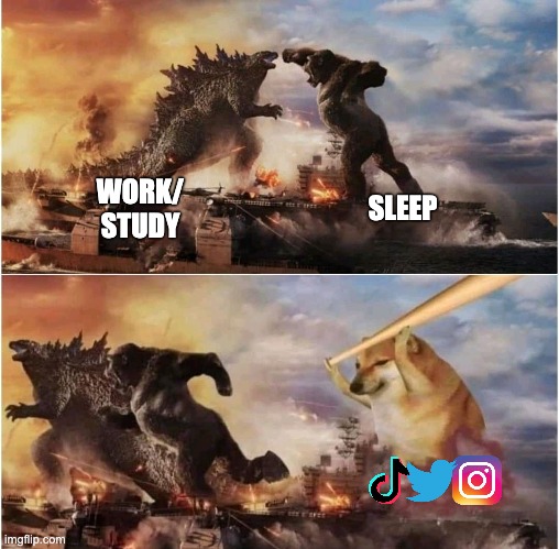 Study vs sleep vs social media | WORK/
STUDY; SLEEP | image tagged in cheems vs godzilla/kong | made w/ Imgflip meme maker
