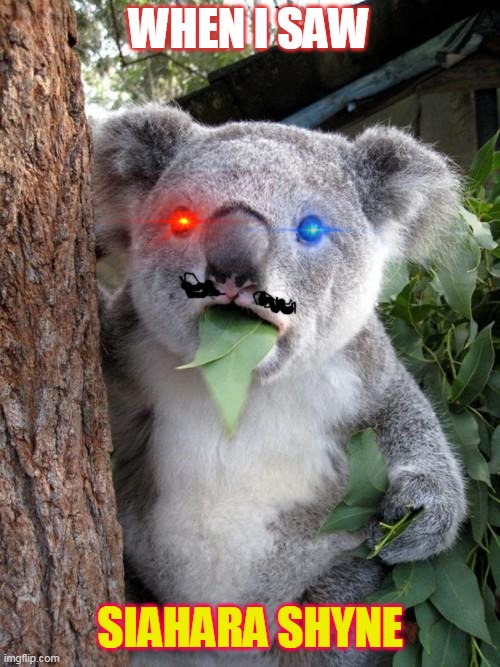 When You Saw Her MEME Siahara Shyne Carter meme2021 | WHEN I SAW; SIAHARA SHYNE | image tagged in memes,surprised koala,attractive people problems,beautiful girl,perfect meme,siahara shyne carter | made w/ Imgflip meme maker