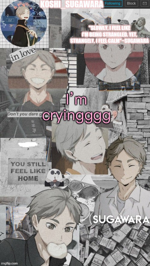 Happy tears tho :) | I’m cryingggg | image tagged in lmao,this is useless,you probably,dont care | made w/ Imgflip meme maker