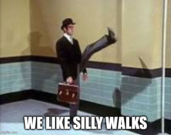 silly walks | WE LIKE SILLY WALKS | image tagged in silly walks | made w/ Imgflip meme maker