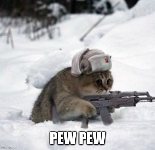 russian cat | PEW PEW | image tagged in russian cat | made w/ Imgflip meme maker