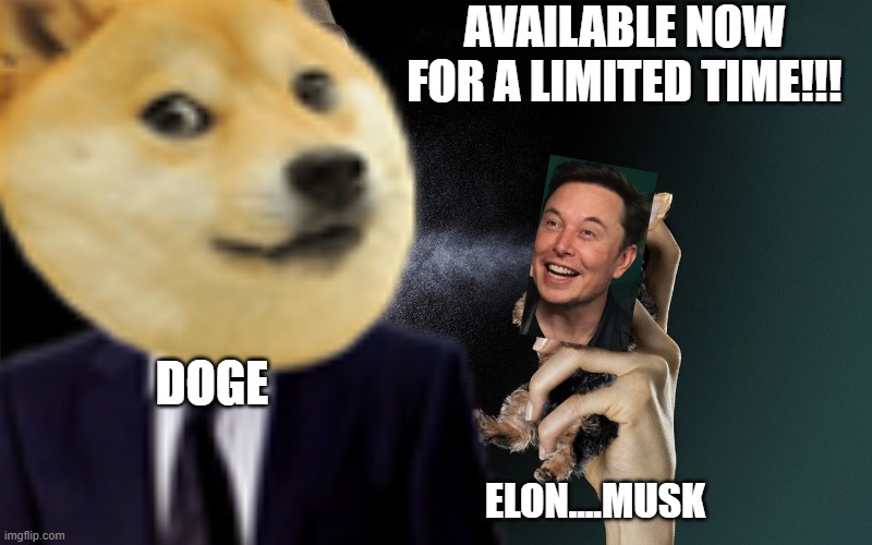Elon....Musk spray memes for Dogecoin | AVAILABLE NOW FOR A LIMITED TIME!!! DOGE; ELON....MUSK | image tagged in elon,elon musk,musk,doge,dogecoin | made w/ Imgflip meme maker