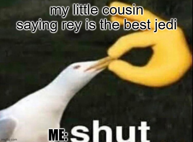 SHUT | my little cousin saying rey is the best jedi; ME: | image tagged in shut | made w/ Imgflip meme maker