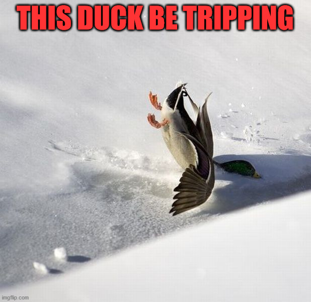 THIS DUCK BE TRIPPING | image tagged in ducks | made w/ Imgflip meme maker