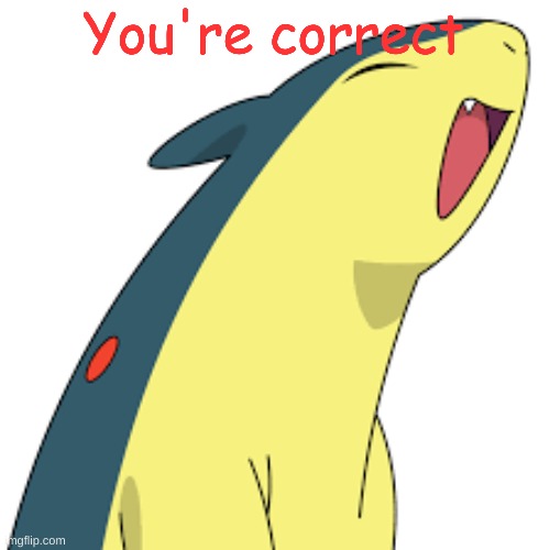 Happy Quilava | You're correct | image tagged in happy quilava | made w/ Imgflip meme maker