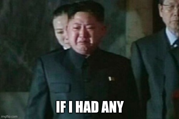 Kim Jong Un Sad Meme | IF I HAD ANY | image tagged in memes,kim jong un sad | made w/ Imgflip meme maker
