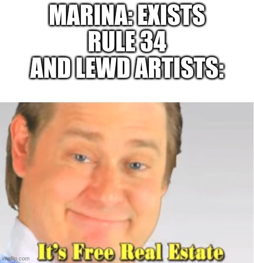 It's Free Real Estate | MARINA: EXISTS
RULE 34 AND LEWD ARTISTS: | image tagged in it's free real estate,splatoon,splatoon 2,splatoon 3,marina,off the hook | made w/ Imgflip meme maker