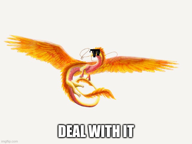 DEAL WITH IT | made w/ Imgflip meme maker