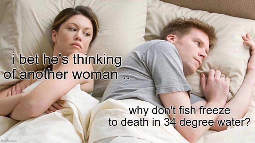 Brrrrrr x 2 | i bet he's thinking of another woman .. why don't fish freeze to death in 34 degree water? | image tagged in memes,i bet he's thinking about other women,funny | made w/ Imgflip meme maker