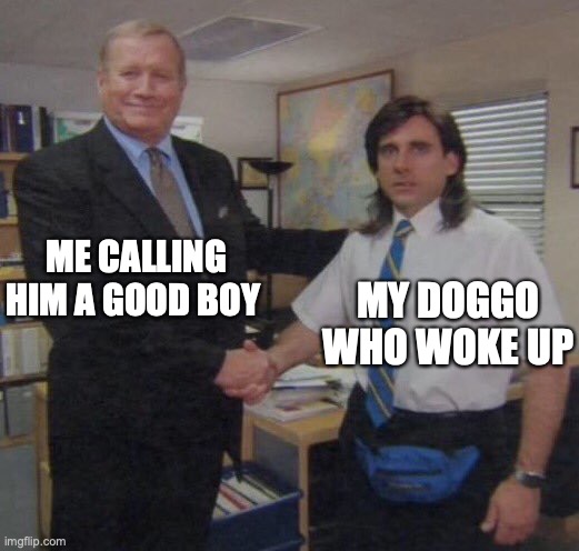A good boy | ME CALLING HIM A GOOD BOY; MY DOGGO WHO WOKE UP | image tagged in the office congratulations,doggo,dog,doggos,good boy,relatable | made w/ Imgflip meme maker
