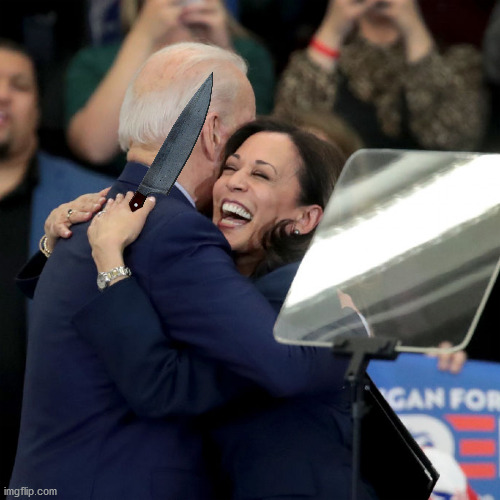 Joe Biden Kamala Harris | image tagged in joe biden kamala harris | made w/ Imgflip meme maker