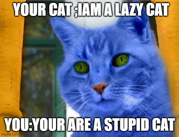 stupid cat | YOUR CAT ;IAM A LAZY CAT; YOU:YOUR ARE A STUPID CAT | image tagged in funny memes,grumpy cat | made w/ Imgflip meme maker