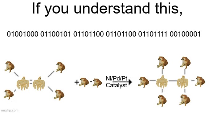 Comment how many of you got it | If you understand this, 01001000 01100101 01101100 01101100 01101111 00100001; Ni/Pd/Pt
Catalyst | image tagged in memes | made w/ Imgflip meme maker
