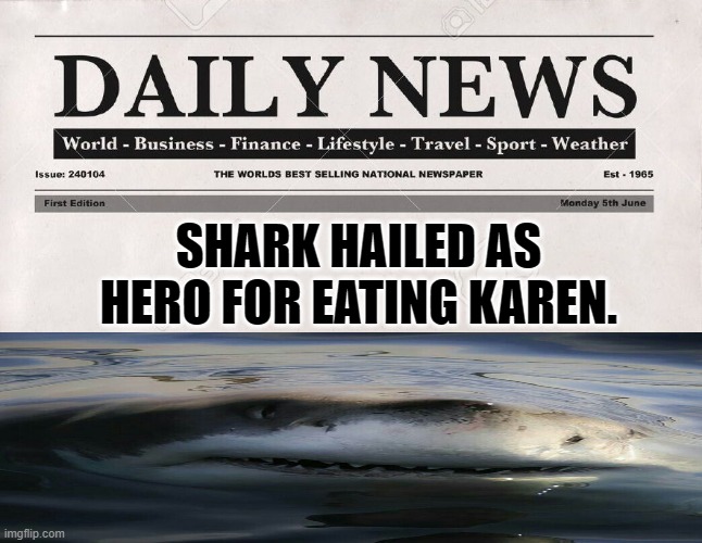 newspaper |  SHARK HAILED AS HERO FOR EATING KAREN. | image tagged in newspaper | made w/ Imgflip meme maker