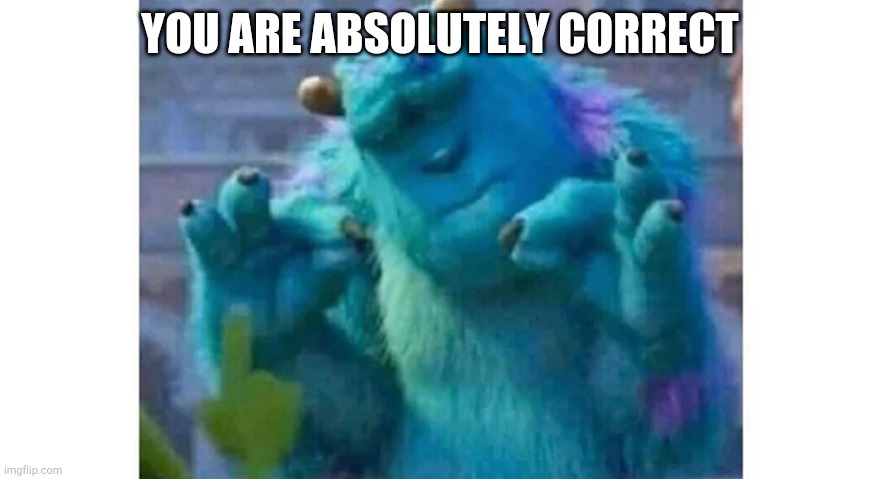 Sully ok sign | YOU ARE ABSOLUTELY CORRECT | image tagged in sully ok sign | made w/ Imgflip meme maker