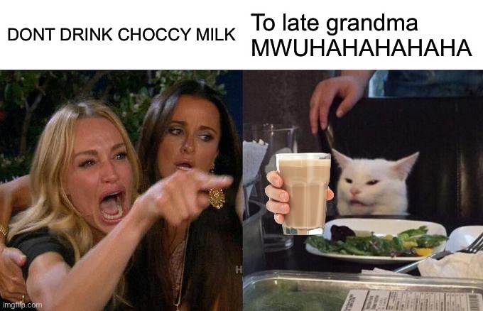 CHOCCY MILK TO ALL, AND TO ALL A GOOD CHOCCY MILK | DONT DRINK CHOCCY MILK; To late grandma MWUHAHAHAHAHA | image tagged in memes,woman yelling at cat | made w/ Imgflip meme maker