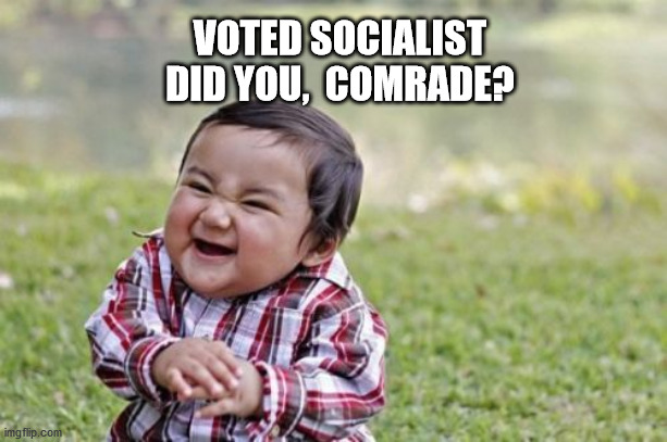 Evil Toddler Meme | VOTED SOCIALIST DID YOU,  COMRADE? | image tagged in memes,evil toddler | made w/ Imgflip meme maker