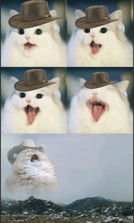 Country Roads Cat Blank Meme Template