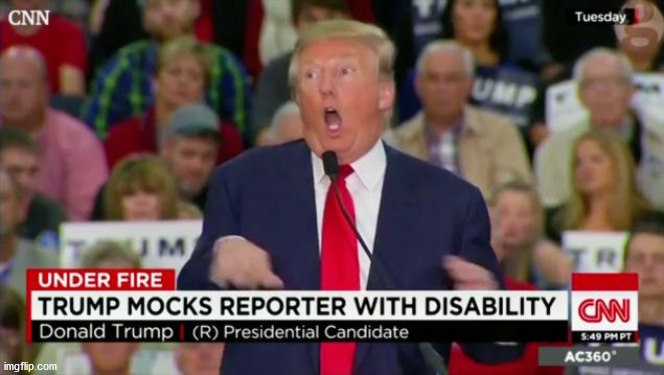 Trump Mocking Disabled | image tagged in trump mocking disabled | made w/ Imgflip meme maker