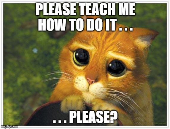 Shrek Cat Meme | PLEASE TEACH ME HOW TO DO IT . . . . . . PLEASE? | image tagged in memes,shrek cat | made w/ Imgflip meme maker