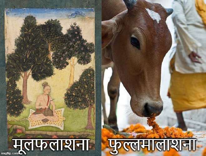 Sanskrit Lesson | image tagged in roots,fruits,flowers,cows | made w/ Imgflip meme maker