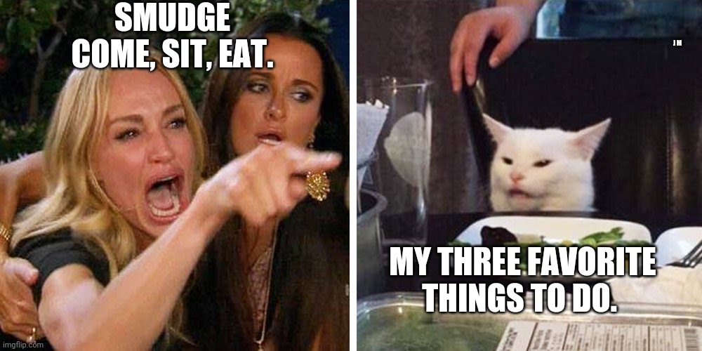 Smudge the cat | SMUDGE COME, SIT, EAT. J M; MY THREE FAVORITE THINGS TO DO. | image tagged in smudge the cat | made w/ Imgflip meme maker
