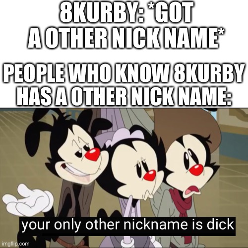 8kurby | 8KURBY: *GOT A OTHER NICK NAME*; PEOPLE WHO KNOW 8KURBY HAS A OTHER NICK NAME: | image tagged in animaniacs | made w/ Imgflip meme maker