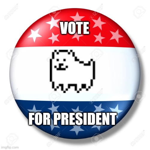 Vote | VOTE; FOR PRESIDENT | image tagged in blank for president | made w/ Imgflip meme maker