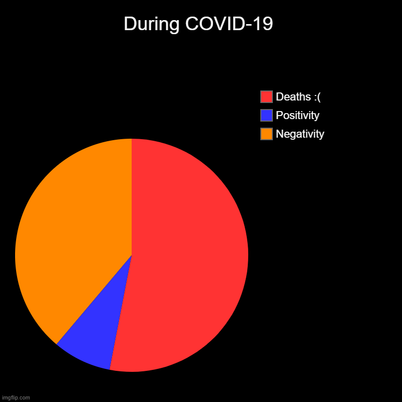 During COVID-19 | During COVID-19 | Negativity, Positivity , Deaths :( | image tagged in charts,pie charts | made w/ Imgflip chart maker