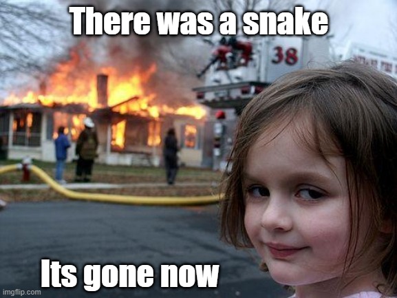 There was a snake | There was a snake; Its gone now | image tagged in memes,disaster girl | made w/ Imgflip meme maker
