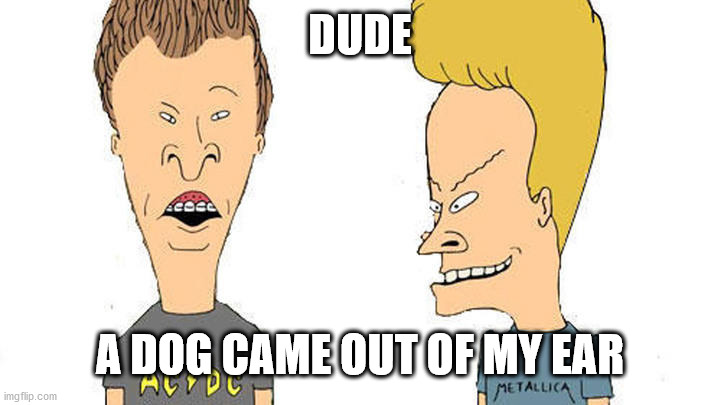 Beavis & Butthead | DUDE; A DOG CAME OUT OF MY EAR | image tagged in beavis butthead | made w/ Imgflip meme maker