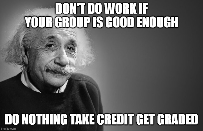 albert einstein quotes | DON'T DO WORK IF YOUR GROUP IS GOOD ENOUGH; DO NOTHING TAKE CREDIT GET GRADED | image tagged in albert einstein quotes | made w/ Imgflip meme maker
