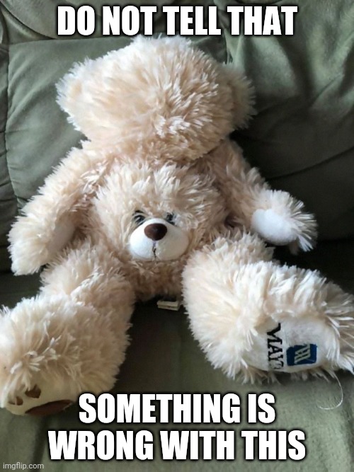 Do not tell something is wrong with this | DO NOT TELL THAT; SOMETHING IS WRONG WITH THIS | image tagged in weird teddy bear | made w/ Imgflip meme maker