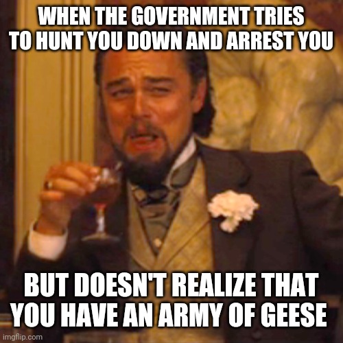 Laughing Leo | WHEN THE GOVERNMENT TRIES TO HUNT YOU DOWN AND ARREST YOU; BUT DOESN'T REALIZE THAT YOU HAVE AN ARMY OF GEESE | image tagged in memes,laughing leo | made w/ Imgflip meme maker