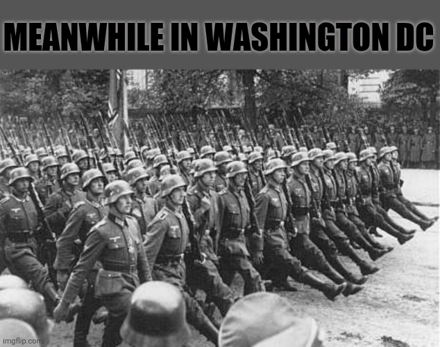 German Soldiers Marching | MEANWHILE IN WASHINGTON DC | image tagged in german soldiers marching | made w/ Imgflip meme maker