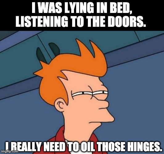 Doors | I WAS LYING IN BED, LISTENING TO THE DOORS. I REALLY NEED TO OIL THOSE HINGES. | image tagged in memes,futurama fry | made w/ Imgflip meme maker