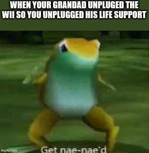R.I.P Grandad | WHEN YOUR GRANDAD UNPLUGED THE WII SO YOU UNPLUGGED HIS LIFE SUPPORT | image tagged in get nae-nae'd,memes,funny,death,wii,i killed my grandad | made w/ Imgflip meme maker