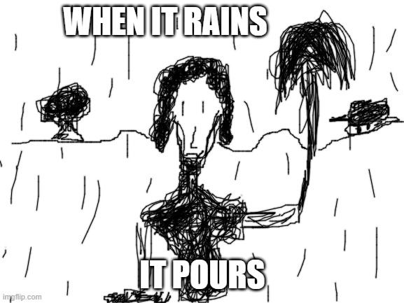 When it rains, it pours | WHEN IT RAINS; IT POURS | image tagged in blank white template,when,raining,rains,pour,it | made w/ Imgflip meme maker