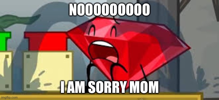 BFDI Ruby Crying | NOOOOOOOOO; I AM SORRY MOM | image tagged in bfdi ruby crying | made w/ Imgflip meme maker