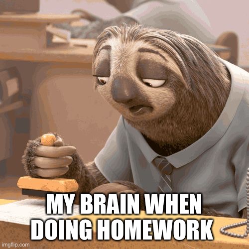 Slow sloth | MY BRAIN WHEN DOING HOMEWORK | image tagged in slow sloth | made w/ Imgflip meme maker