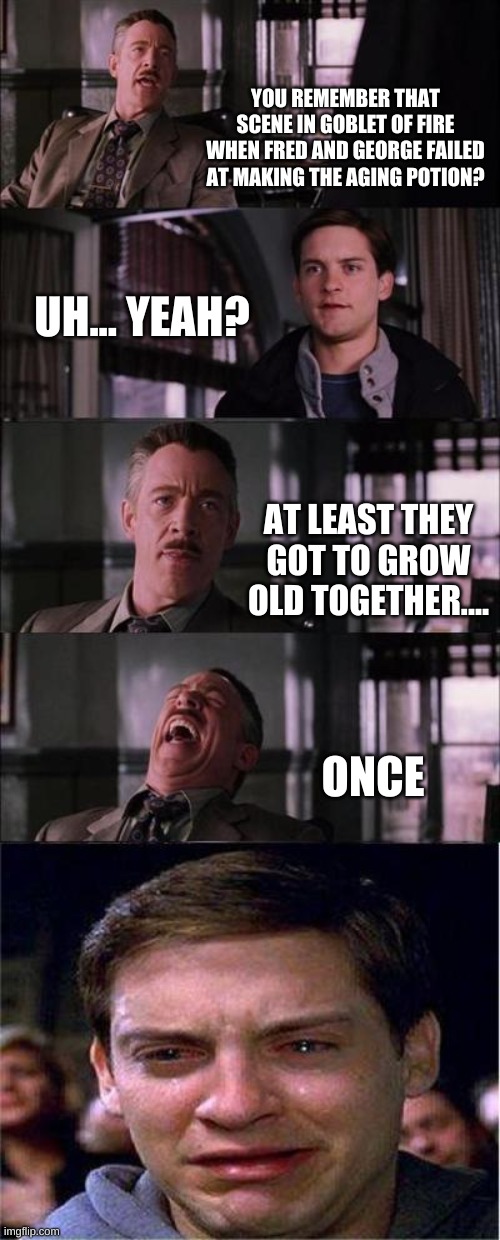 This is so sad. | YOU REMEMBER THAT SCENE IN GOBLET OF FIRE WHEN FRED AND GEORGE FAILED AT MAKING THE AGING POTION? UH... YEAH? AT LEAST THEY GOT TO GROW OLD TOGETHER.... ONCE | image tagged in memes,peter parker cry | made w/ Imgflip meme maker