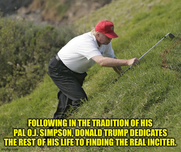 searching for the real inciter |  FOLLOWING IN THE TRADITION OF HIS PAL O.J. SIMPSON, DONALD TRUMP DEDICATES THE REST OF HIS LIFE TO FINDING THE REAL INCITER. | image tagged in trump golfing | made w/ Imgflip meme maker