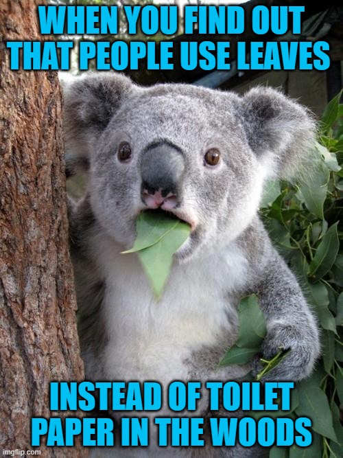 Surprised Koala Meme | WHEN YOU FIND OUT THAT PEOPLE USE LEAVES; INSTEAD OF TOILET PAPER IN THE WOODS | image tagged in memes,surprised koala | made w/ Imgflip meme maker