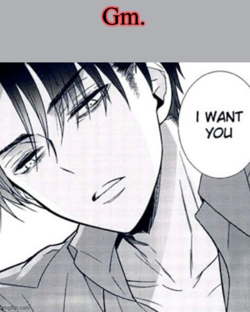 . | Gm. | image tagged in horny levi | made w/ Imgflip meme maker