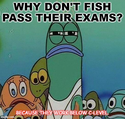 Daily Bad Dad Joke February 18 2021 |  WHY DON'T FISH PASS THEIR EXAMS? BECAUSE THEY WORK BELOW C-LEVEL. | image tagged in spongebob | made w/ Imgflip meme maker