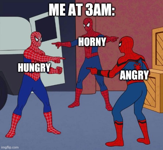 yes | ME AT 3AM:; HORNY; HUNGRY; ANGRY | image tagged in spider man triple | made w/ Imgflip meme maker