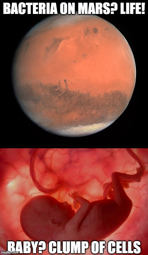 BACTERIA ON MARS? LIFE! BABY? CLUMP OF CELLS | image tagged in fetus | made w/ Imgflip meme maker