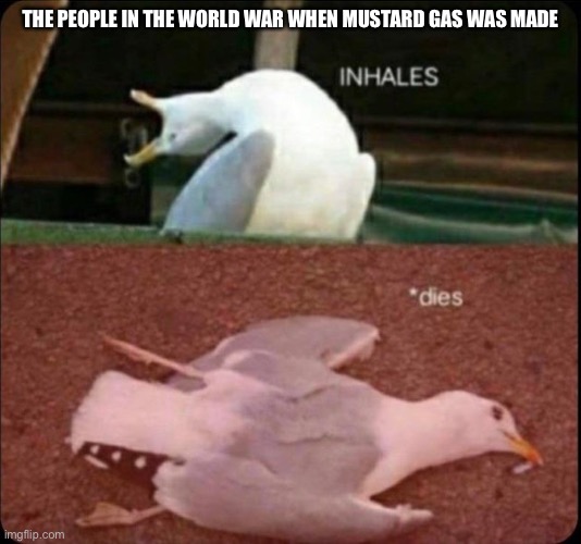 inhales dies bird | THE PEOPLE IN THE WORLD WAR WHEN MUSTARD GAS WAS MADE | image tagged in inhales dies bird | made w/ Imgflip meme maker